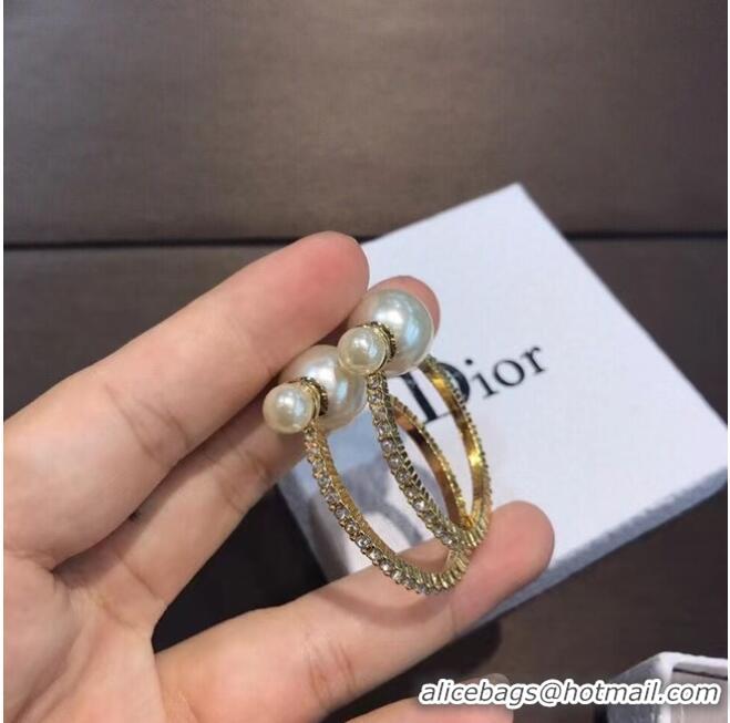 Good Quality Dior Earrings CE6842