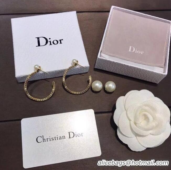 Good Quality Dior Earrings CE6842