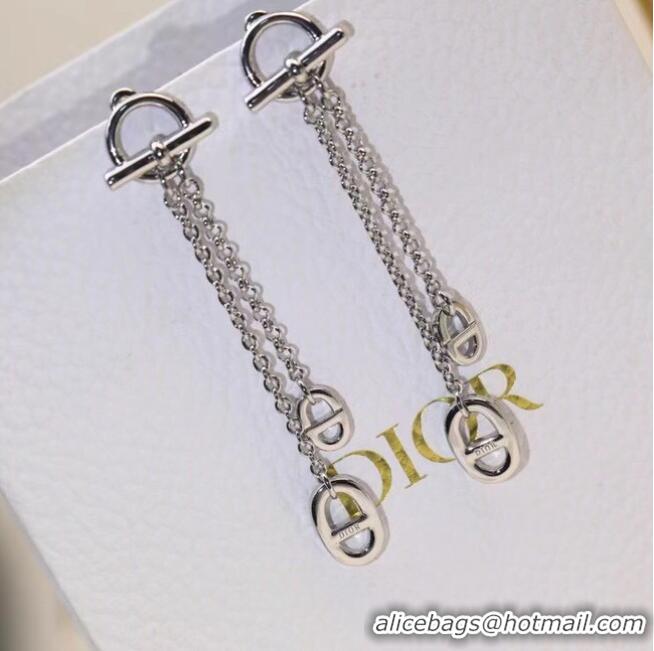 Well Crafted Dior Earrings CE6845