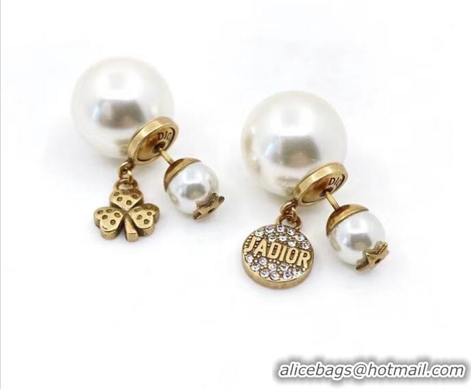 Famous Brand Dior Earrings CE6846