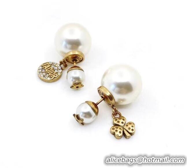 Famous Brand Dior Earrings CE6846