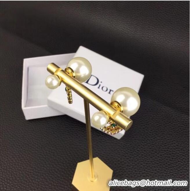 New Release Creation Dior Earrings CE6851