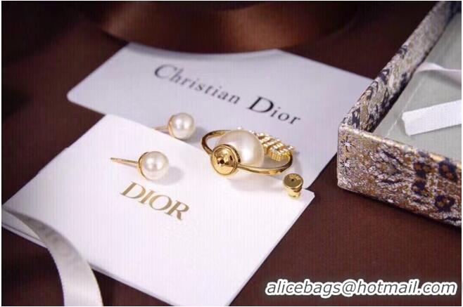 Traditional Discount Dior Earrings CE6853