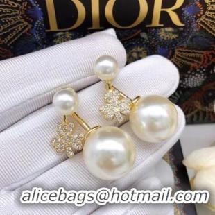 Good Looking Dior Earrings CE6857