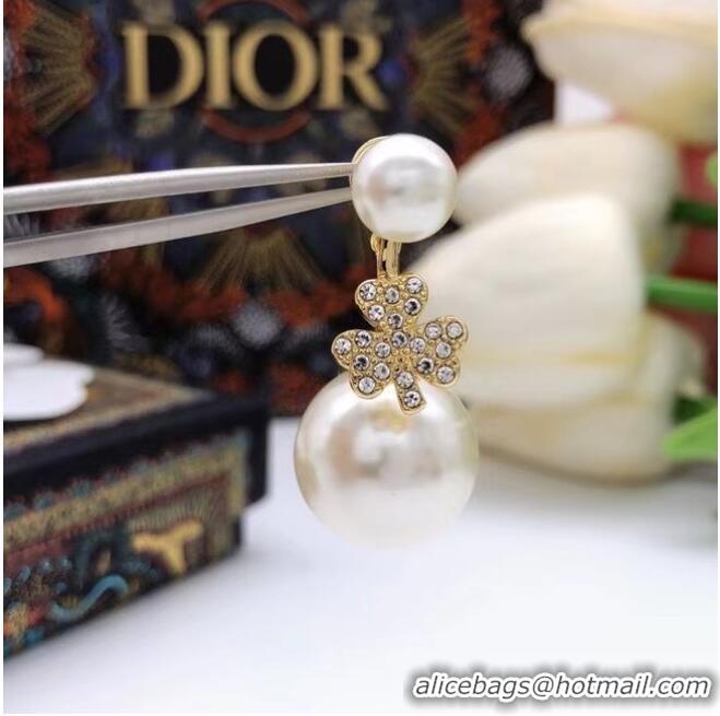 Good Looking Dior Earrings CE6857