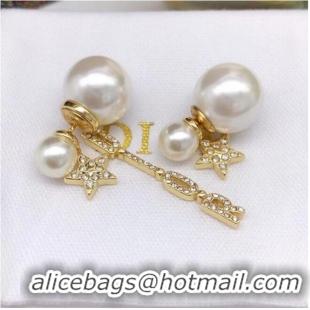 Low Cost Dior Earrings CE6859