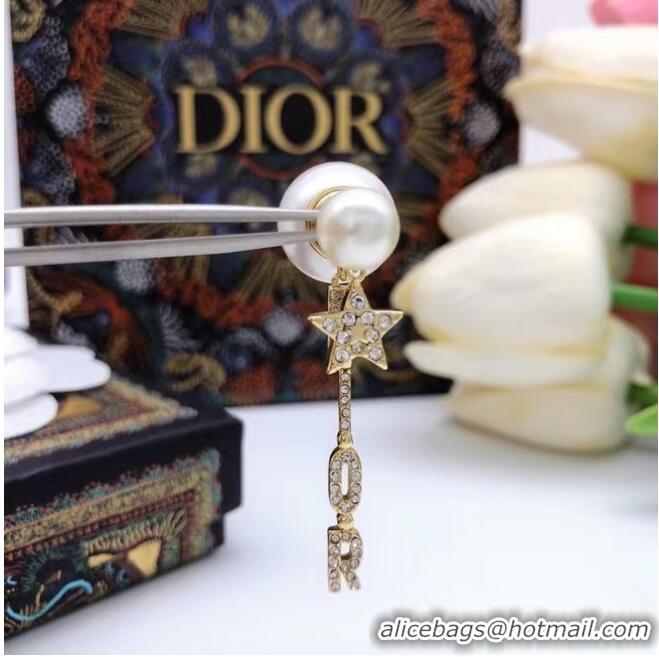 Low Cost Dior Earrings CE6859