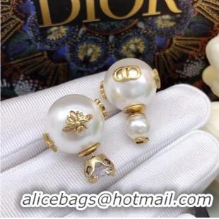 Famous Brand Dior Earrings CE6860