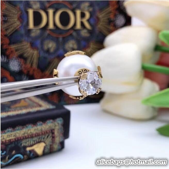 Famous Brand Dior Earrings CE6860