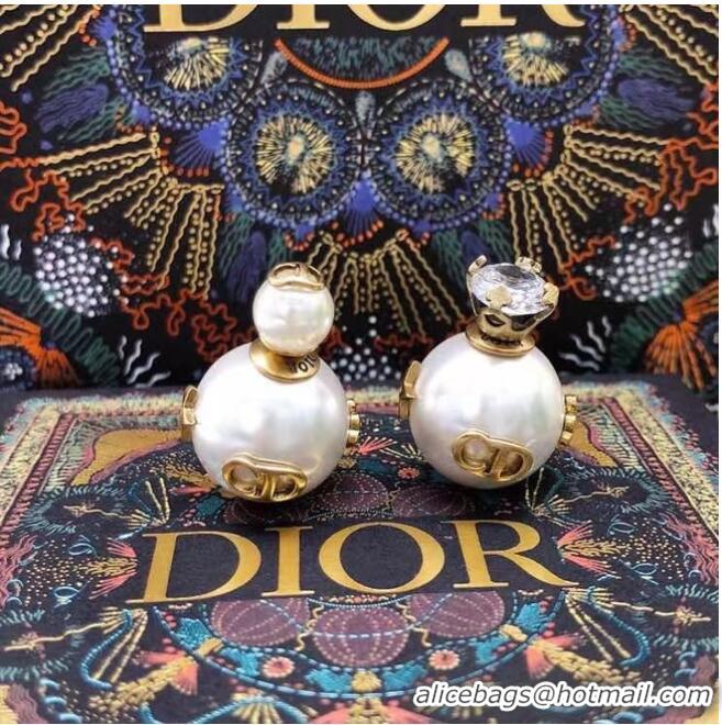 Famous Brand Dior Earrings CE6860