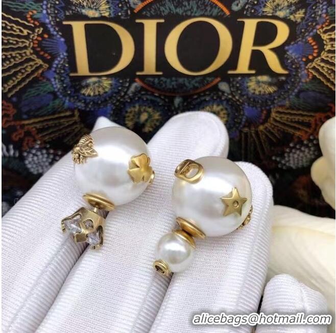 Famous Brand Dior Earrings CE6860