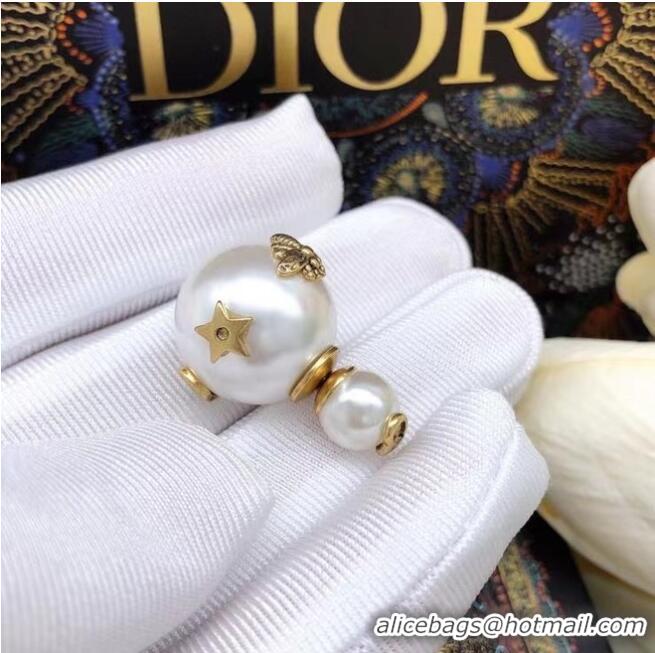 Famous Brand Dior Earrings CE6860