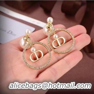 Good Product Dior Earrings CE6881