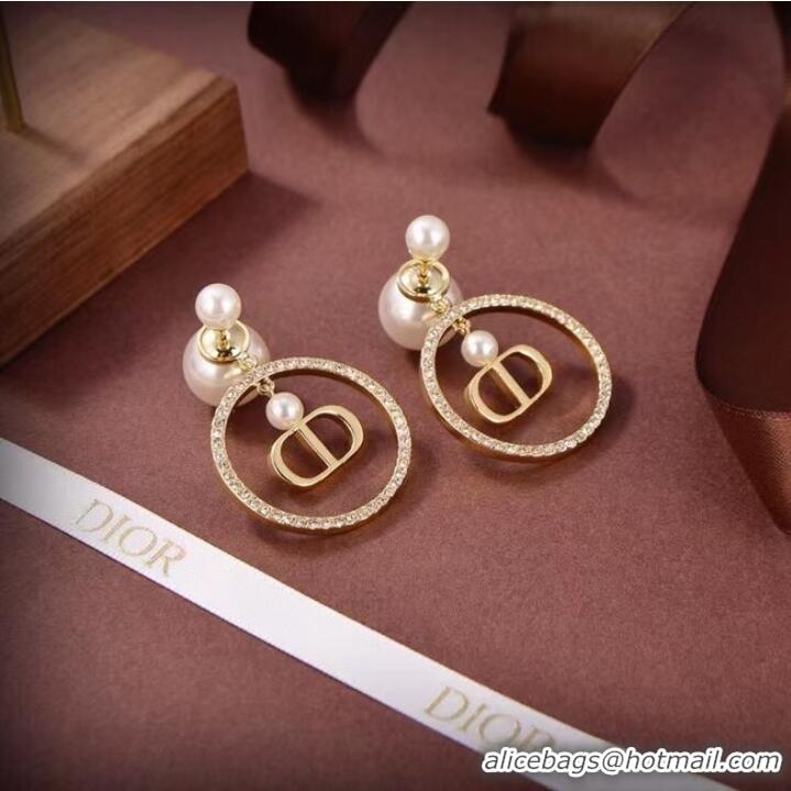 Good Product Dior Earrings CE6881