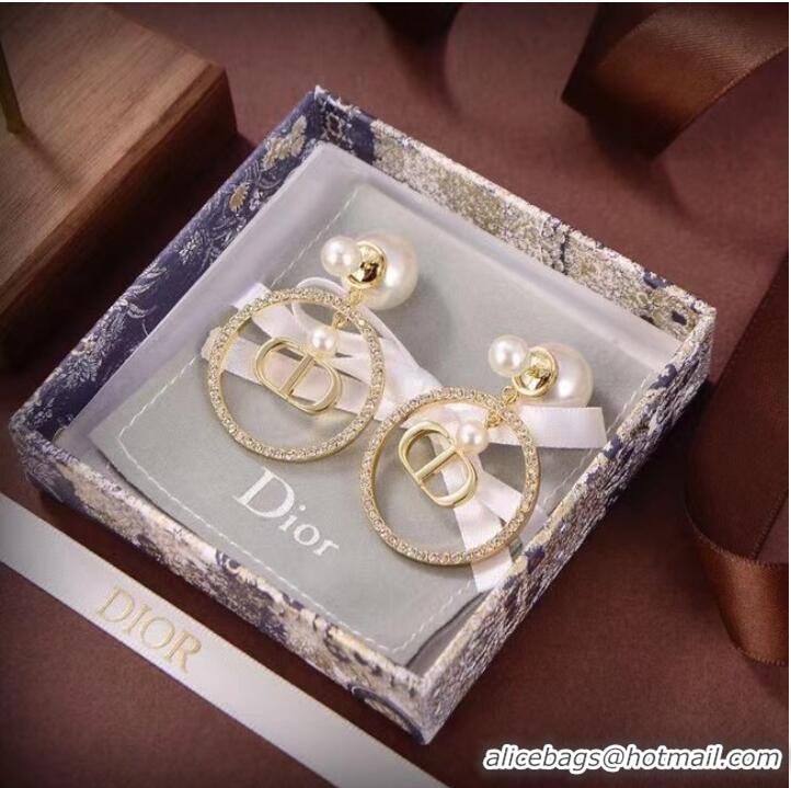 Good Product Dior Earrings CE6881