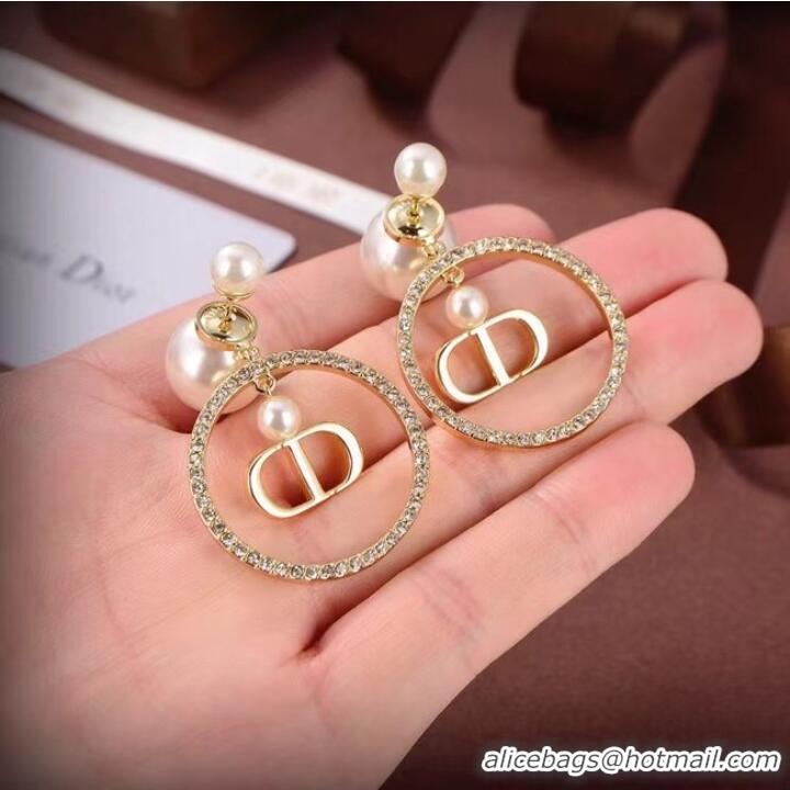 Good Product Dior Earrings CE6881