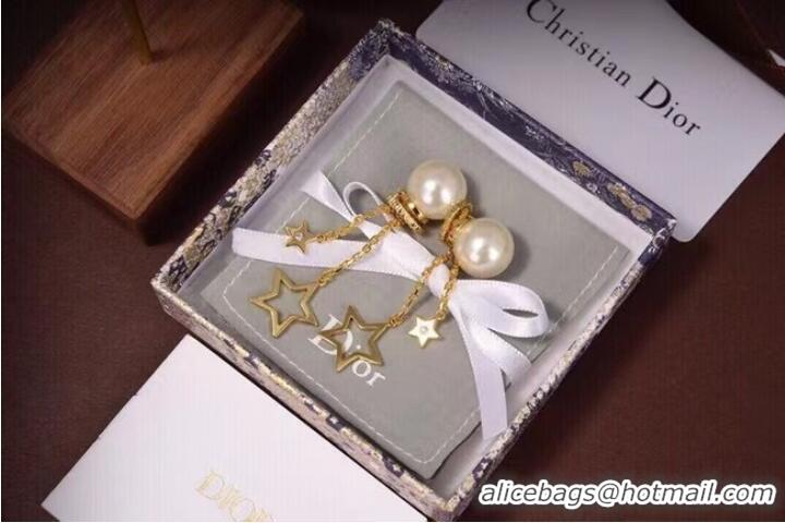 Unique Discount Dior Earrings CE6882