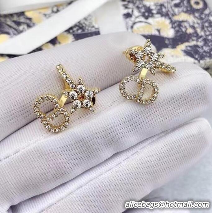 Fashion Show Collections Dior Earrings CE6884