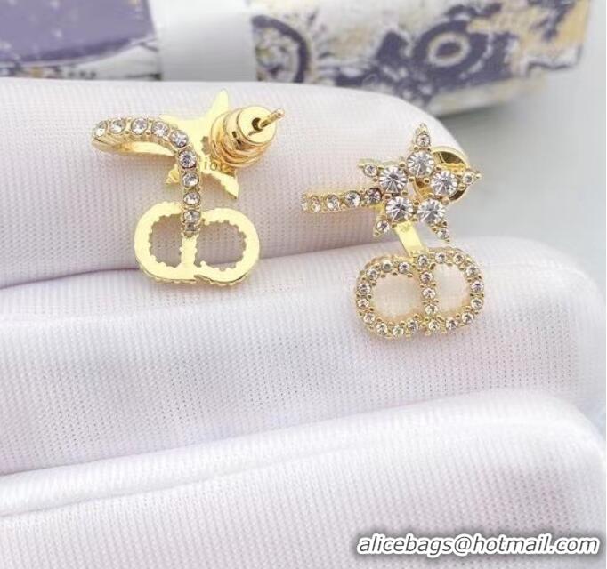 Fashion Show Collections Dior Earrings CE6884