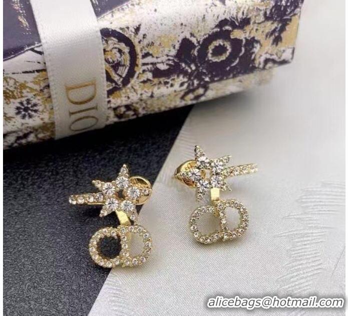 Fashion Show Collections Dior Earrings CE6884