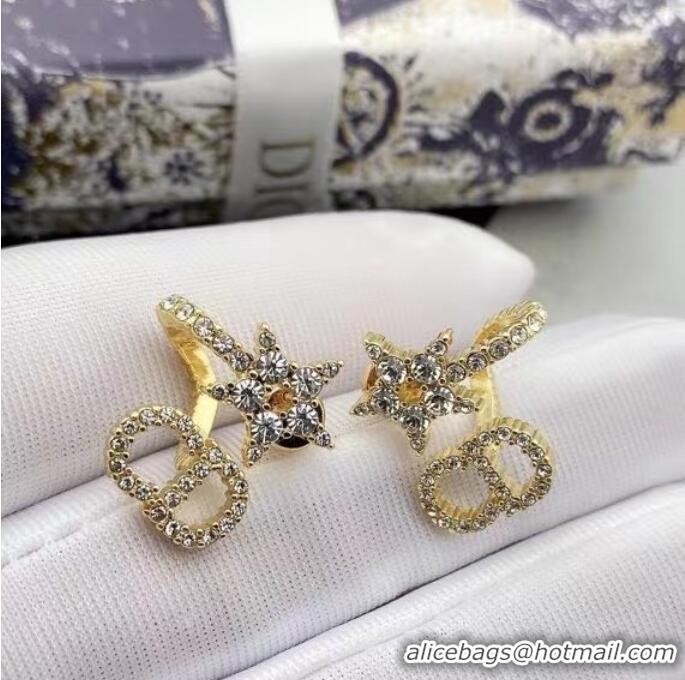 Fashion Show Collections Dior Earrings CE6884