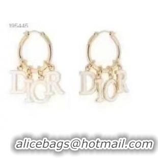 Classic Cheapest Dior Earrings CE6889