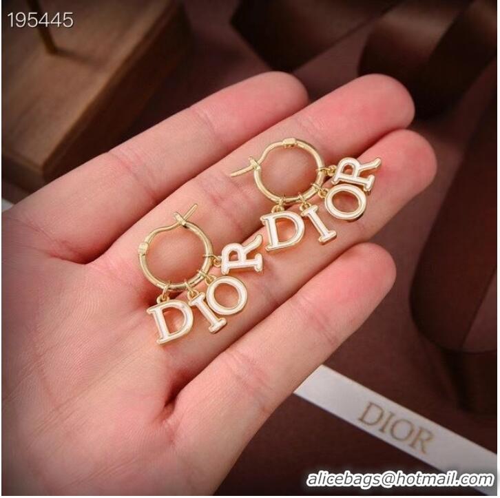 Classic Cheapest Dior Earrings CE6889