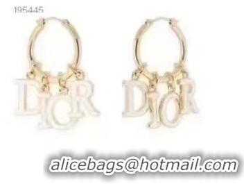 Classic Cheapest Dior Earrings CE6889