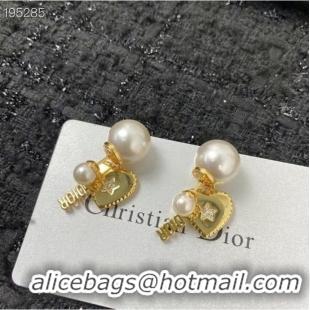 Youthful Cheap Dior Earrings CE6891