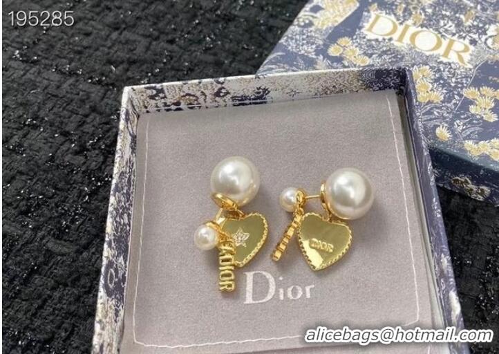 Youthful Cheap Dior Earrings CE6891