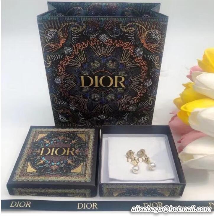 Low Cost Dior Earrings CE6927