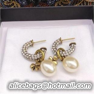 Stylish Promotional Dior Earrings CE6928