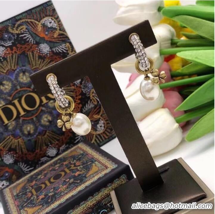 Stylish Promotional Dior Earrings CE6928