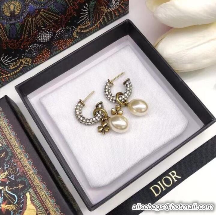 Stylish Promotional Dior Earrings CE6928