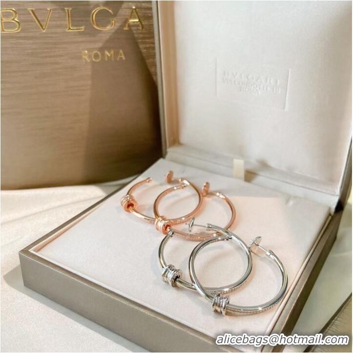 Spot Bulk Discount BVLGARI Earrings CE6939 Silver