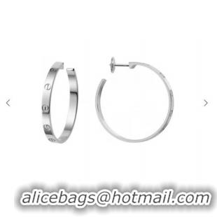 Top Quality Cheap Cartier Earrings CE6945 Silver