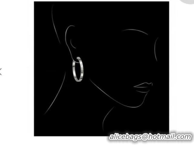 Top Quality Cheap Cartier Earrings CE6945 Silver