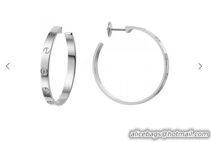 Top Quality Cheap Cartier Earrings CE6945 Silver