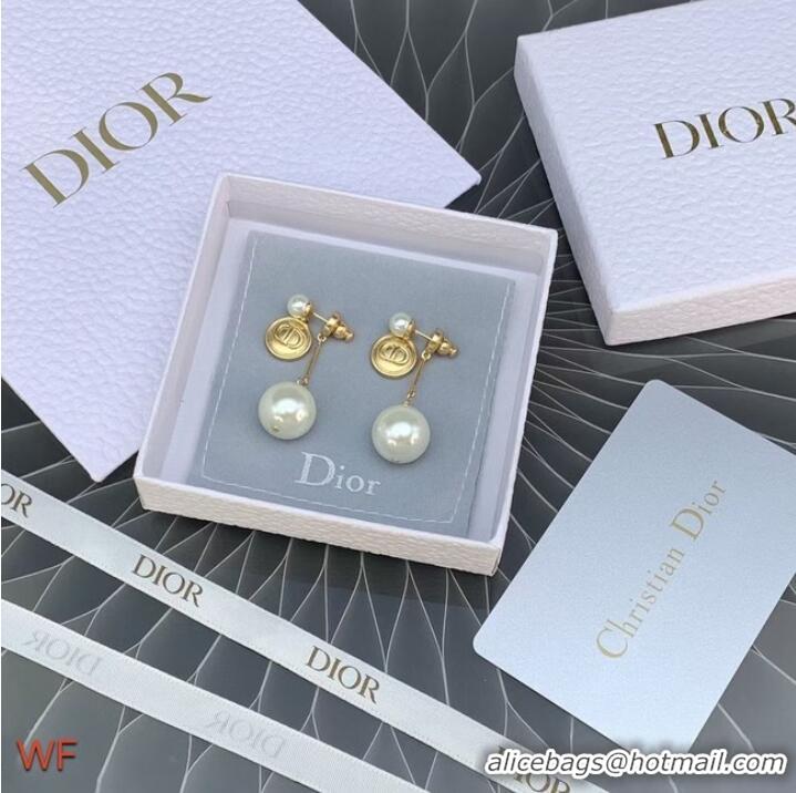 New Fashion Dior Earrings CE6954