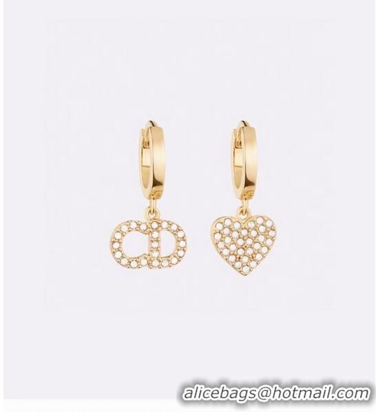 Spot Bulk Classic Dior Earrings CE6965