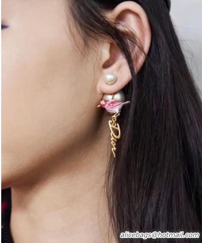 Buy Inexpensive Dior Earrings CE6974