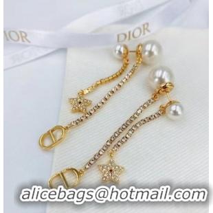 Top Quality Classic Dior Earrings CE6975