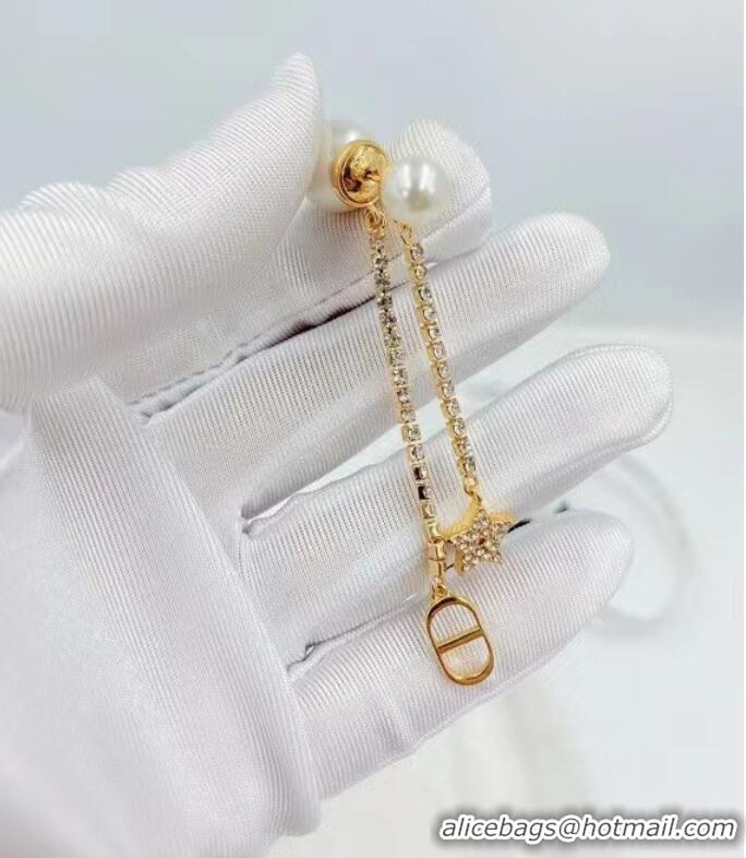 Top Quality Classic Dior Earrings CE6975