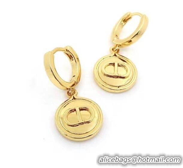 Wholesale Classic Dior Earrings CE6977