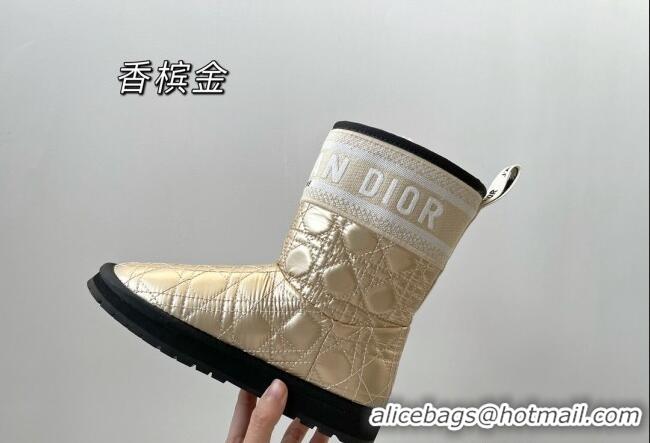 Best Price Dior Oblique Snow Ankle Boots Champagne Gold 121813