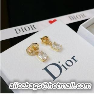 Top Grade Dior Earrings CE7005