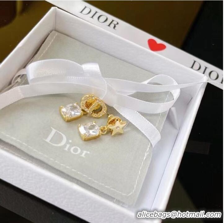 Top Grade Dior Earrings CE7005