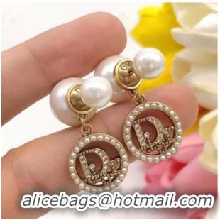 Perfect Promotional Dior Earrings CE7027