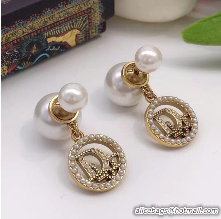 Perfect Promotional Dior Earrings CE7027