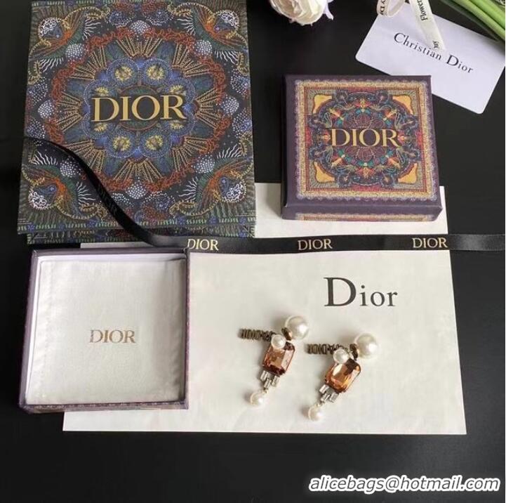 Modern Classic Dior Earrings CE7029